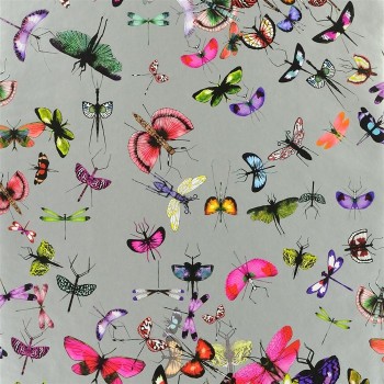 Déco murale Mariposa couleur