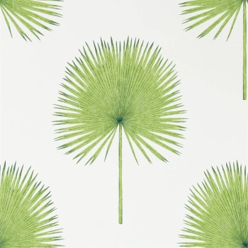 Fan Palm Botanical Green